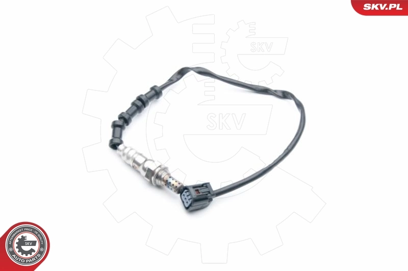 Oxygen Sensor